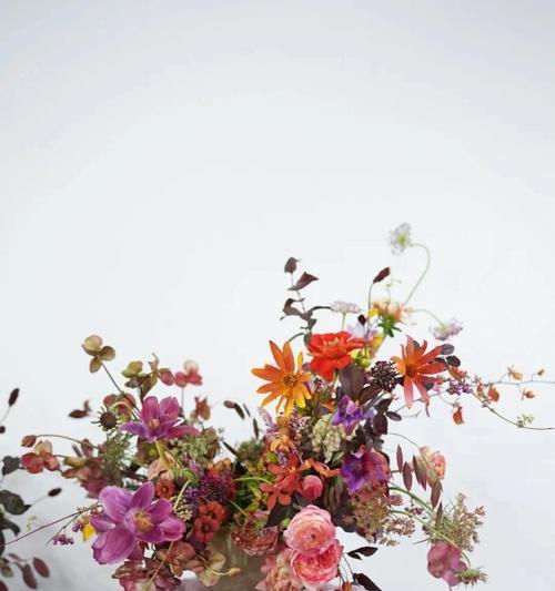 风花节送花有什么特别意义？风花节馈赠的花代表什么？