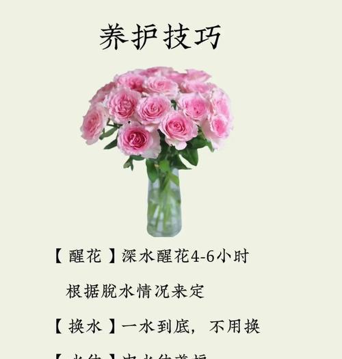 崇阳浪漫花语鲜花代表什么？