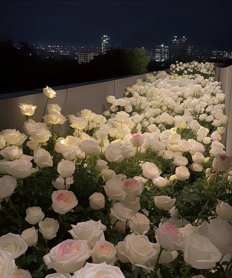 崇阳浪漫花语鲜花代表什么？