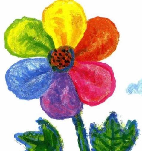 彩虹色的花寓意着什么？它们代表了哪些含义？