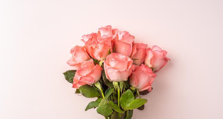 粉色的花寓意不好吗？粉色花代表什么含义？