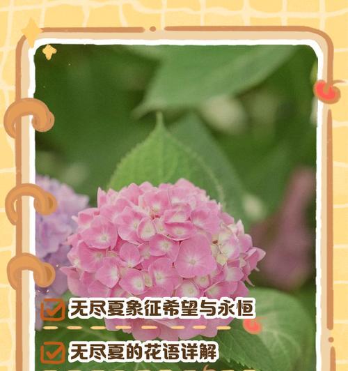 苹果树的性别分化及其繁殖方式（苹果树的雌雄同株特性及其对果实产量的影响）