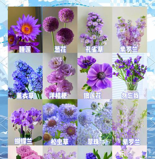 黄木香叶子发黄的原因及解决方法（如何避免黄木香叶子发黄？——生长环境管理的重要性）