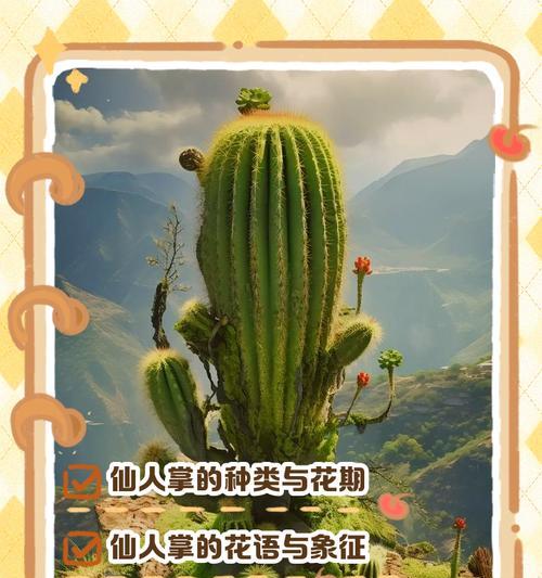 探寻仙人掌花语的奥秘（揭示仙人掌花语的含义和象征意义）