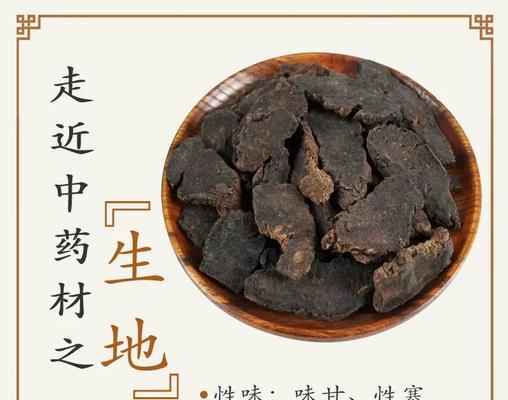 探秘地黄的药用价值（从功效到作用，全方位解读地黄的益处）