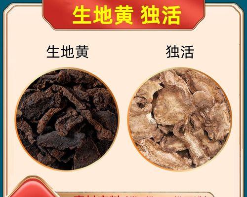 探秘地黄的药用价值（从功效到作用，全方位解读地黄的益处）