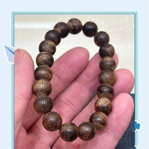 沉香树的风水作用与寓意（探究沉香树在风水领域中的重要作用和象征意义）