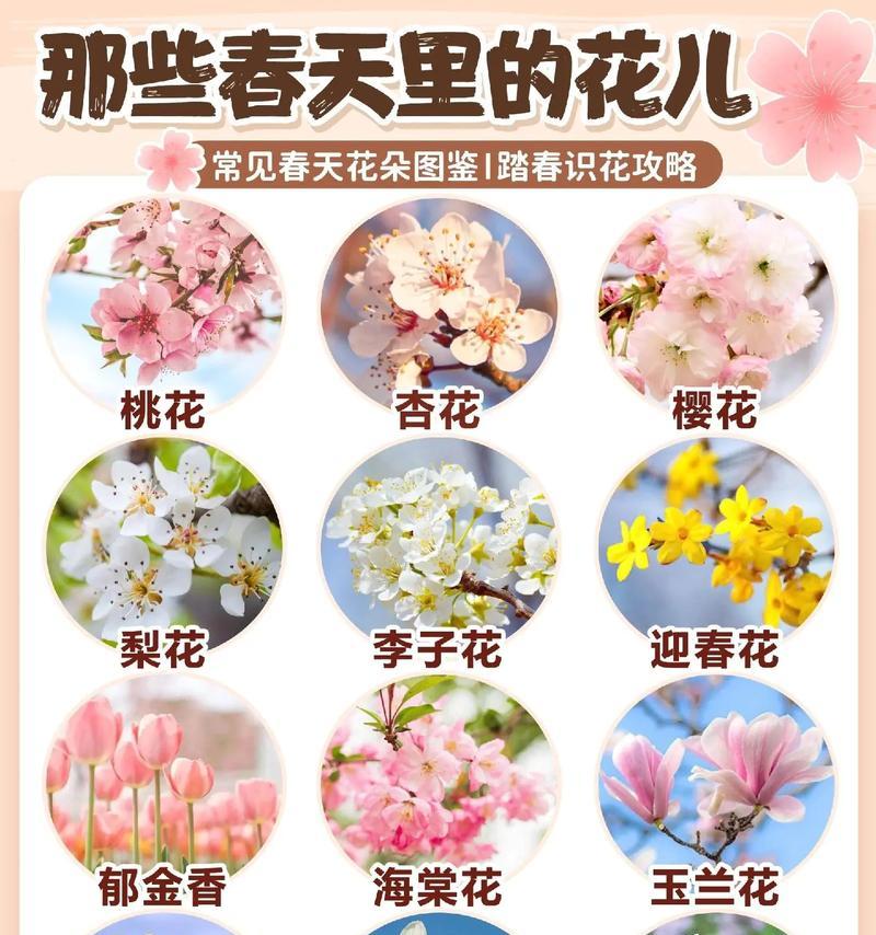探秘铃兰花的生长环境（铃兰花在哪里生长，铃兰花需要哪些条件）
