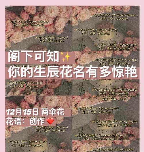 探秘铃兰花的生长环境（铃兰花在哪里生长，铃兰花需要哪些条件）