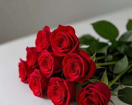 19朵粉玫瑰花的花语（传递爱意的19朵粉玫瑰花的花语解析）