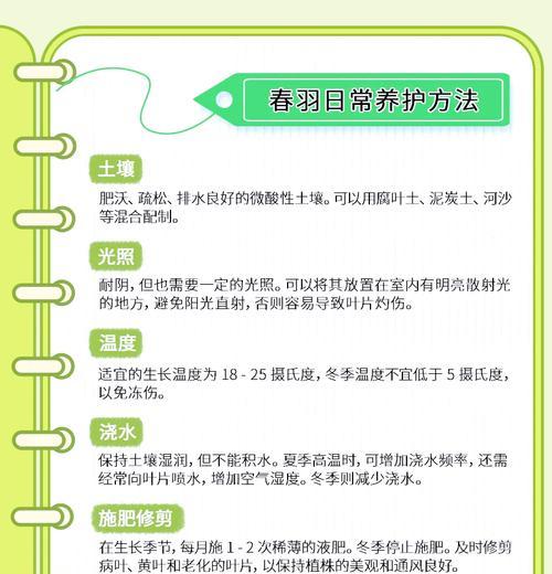春羽叶子下垂的原因和应对方法（正确保护方法，让春羽叶子更加生动活泼）