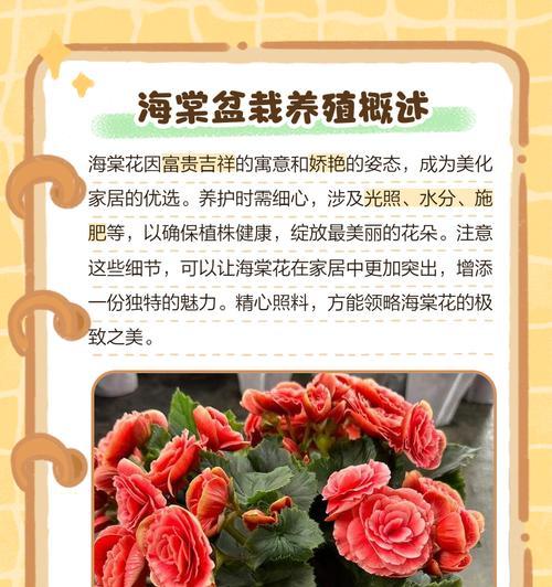 夫妻海棠的养殖方法和注意事项（打造美丽庭院的秘诀）