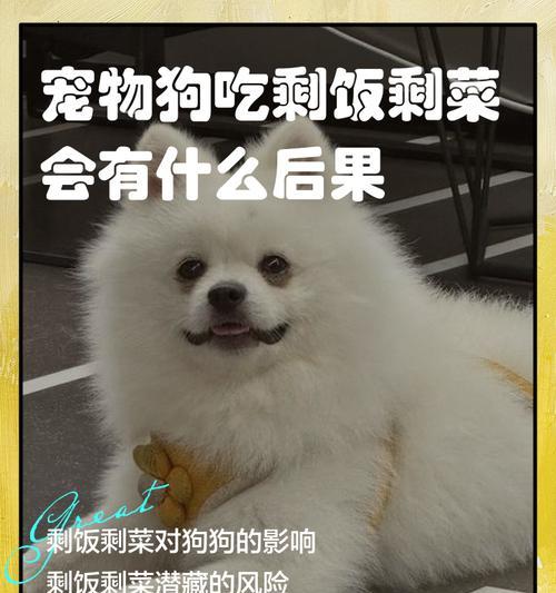 可以给宠物狗狗吃小番茄吗？