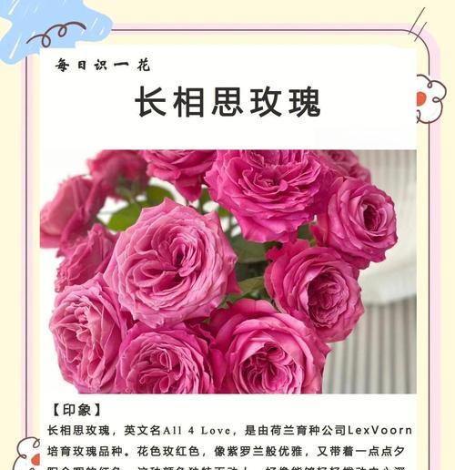 茄子成熟时间全解析（茄子的生长周期与收获技巧，如何得到香甜可口的茄子）