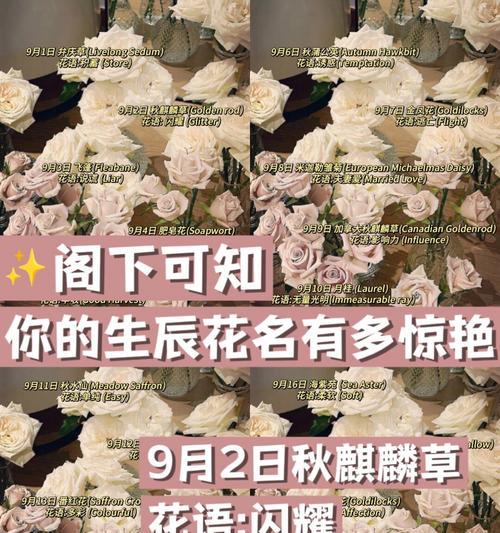 铁树的分类及特征分析（铁树的分类及特征分析）