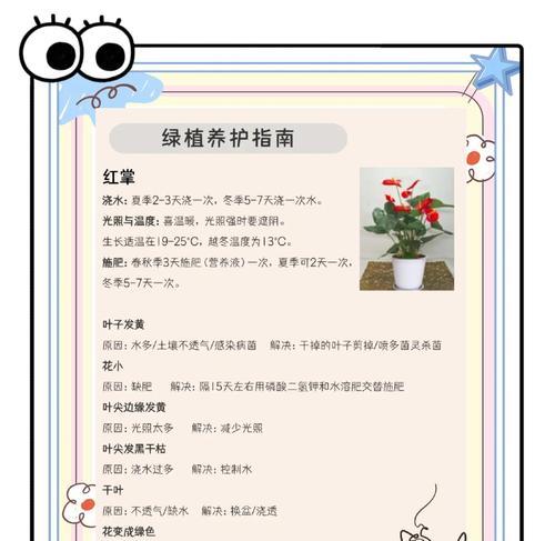 淘米水可以浇红掌吗？正确的浇水方法你知道吗？（探究淘米水对红掌的影响与正确浇水方法）