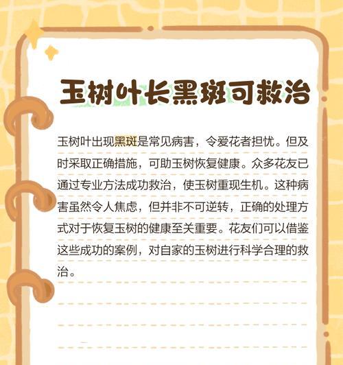 白玉兰叶子为何会发黑？如何处理？（来自专家的解答和处理建议）