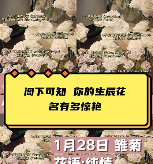 锯末的肥料利用（利用锯末制作肥料，环保又经济实惠）