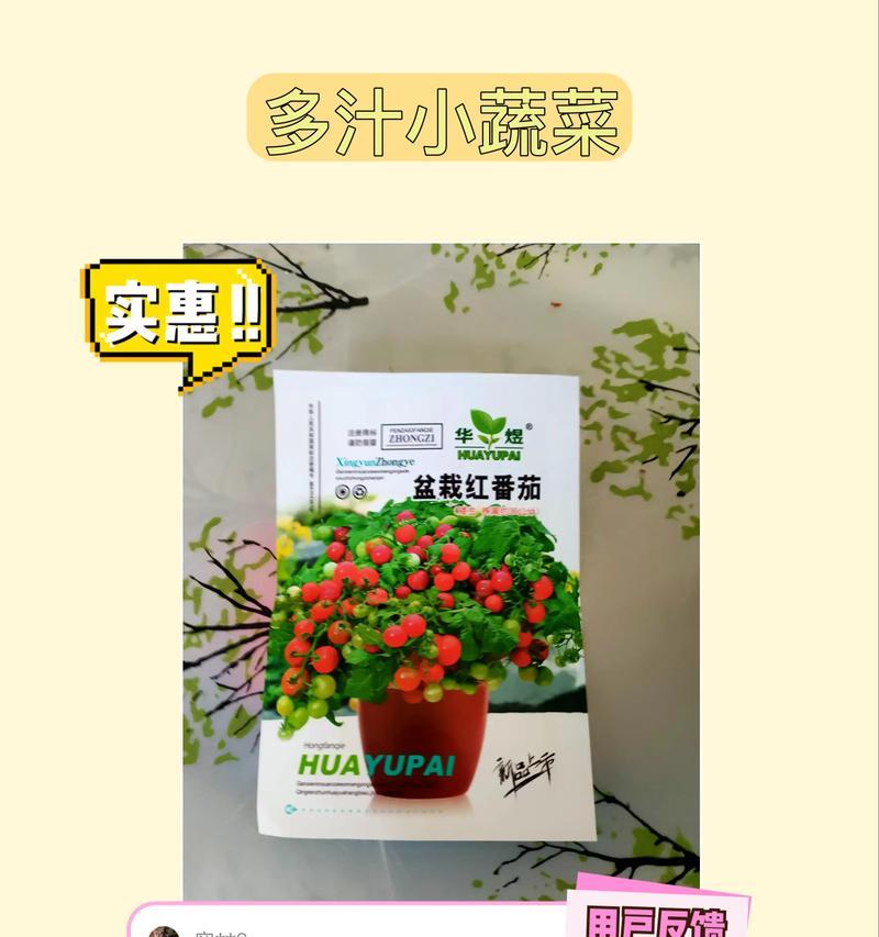圣女果种子种植时间的选择（如何选好圣女果种子种植时间？）