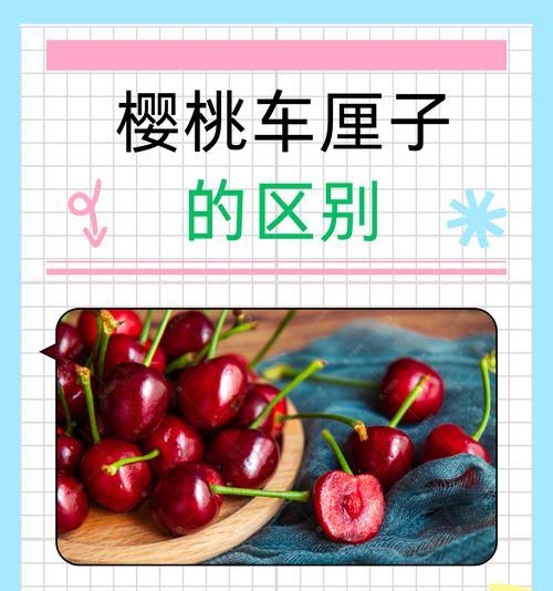 寻访陕西樱桃之乡（探访陕西樱桃产地及其发展现状）