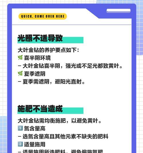 绿钻叶子为何发黄？如何救治？（绿钻养护小贴士，绿色生活从这里开始）