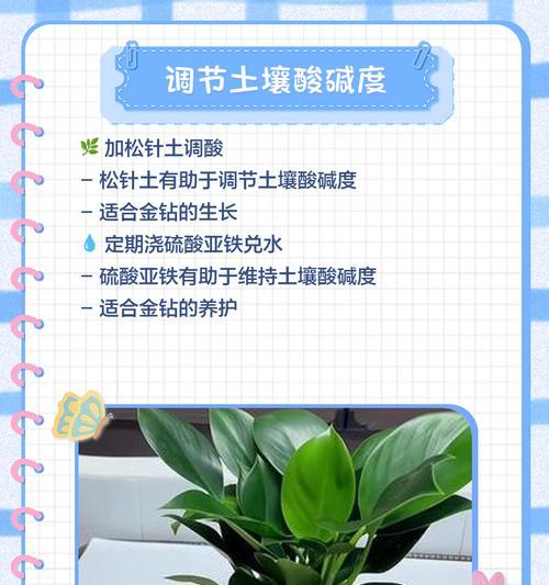 绿钻叶子为何发黄？如何救治？（绿钻养护小贴士，绿色生活从这里开始）