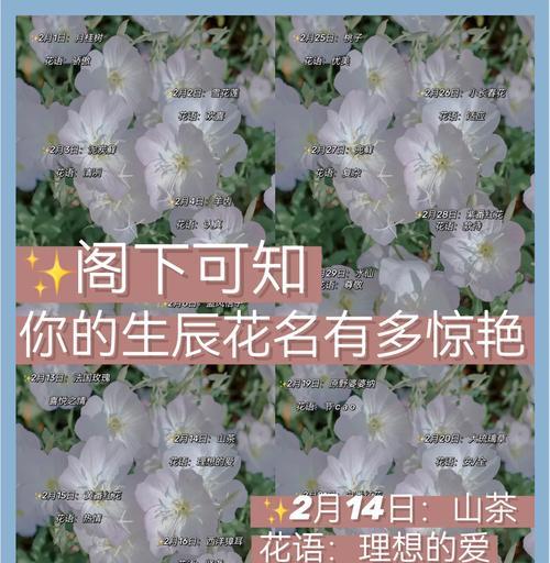 菜花生长周期详解（了解菜花的生长周期，助你种植成功！）