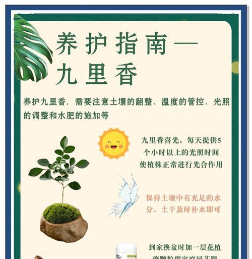 九里明的神奇作用（解读九里明的功效，探究健康生活的新选择）