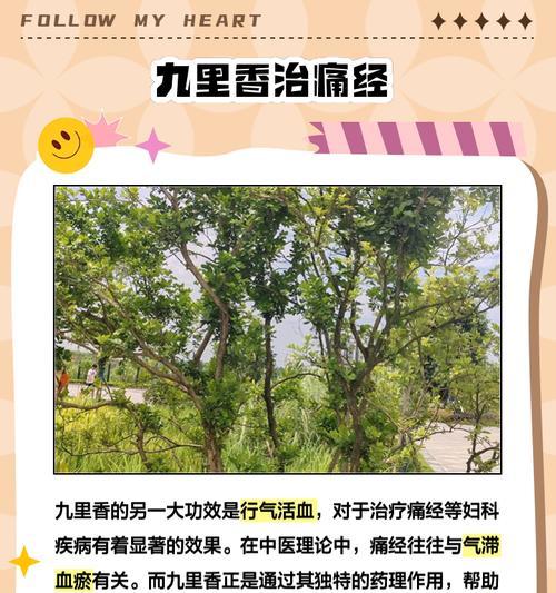 九里明的神奇作用（解读九里明的功效，探究健康生活的新选择）