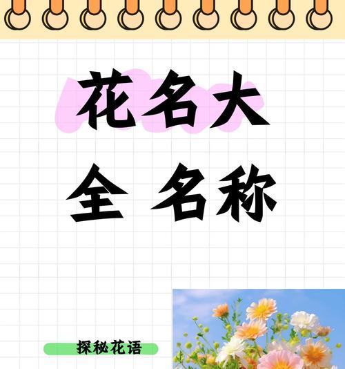 探寻西兰花的原产地——历史悠久的地中海区域（从古希腊到现代，西兰花的故事）