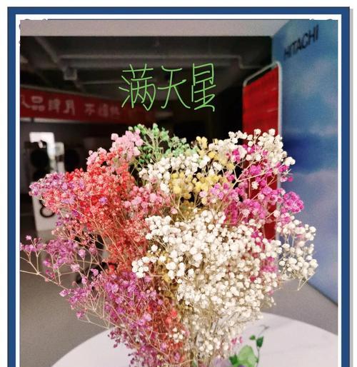 满天星花语与寓意（绽放美丽的神秘符号）