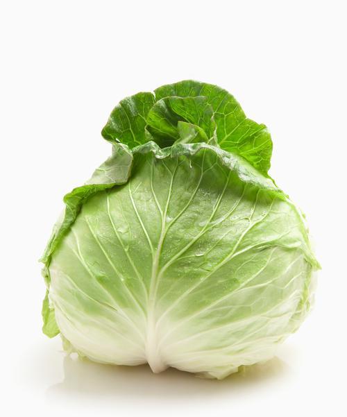 棒菜又叫什么名字？（解密棒菜的多重称谓）