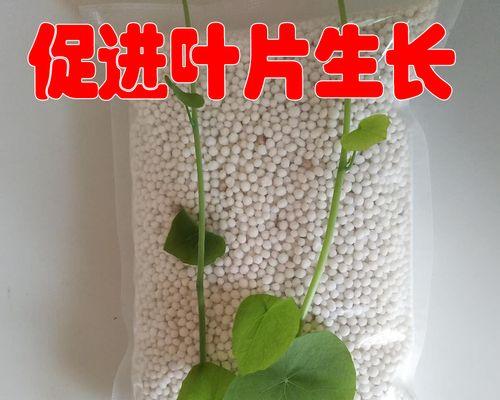 乌龟粪便（可持续发展的双赢方案）