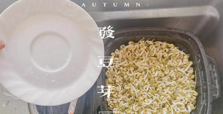 绿豆的储存方法及注意事项（如何保持绿豆的新鲜和营养？）