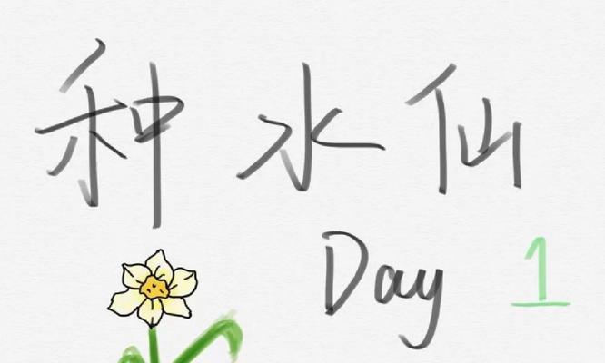 如何留种子种植水仙花（水仙花种子的采集、种植及护理技巧）