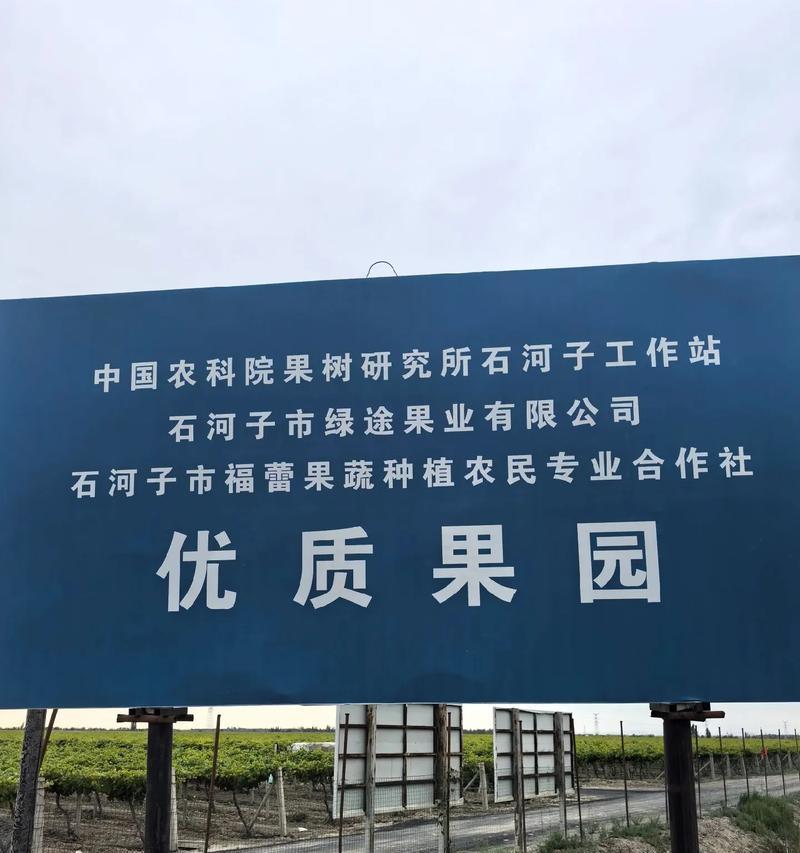提子种植的地理条件与温度要求（探寻提子种植的最佳栽培环境，从地理位置和气候因素分析）