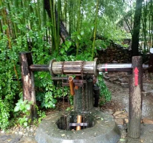 井边适合种什么树？（打造美丽的井边景观，选择正确的树种很重要）