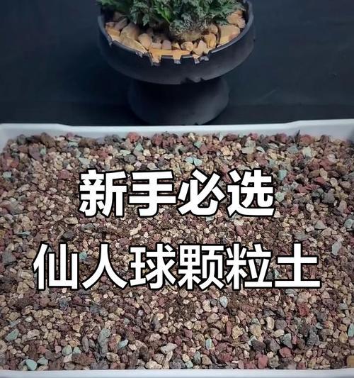 如何正确栽种仙人球？（仙人球的土壤及养护技巧）