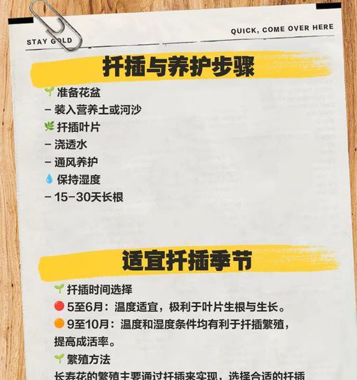 如何避免叶插苗徒长？（养护技巧，让苗木茁壮成长）