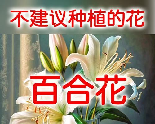 百合是雌雄同株吗？——解析百合的雌雄性别及其繁殖特点