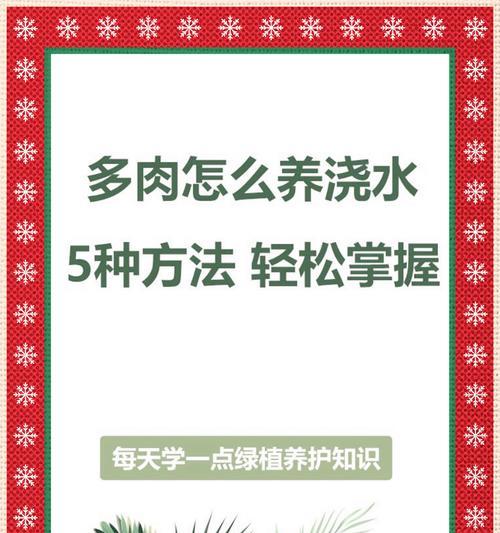 啤酒可以浇多肉吗？解读最新研究结果（多肉爱好者必看，啤酒除了喝还有这种神奇用途！）