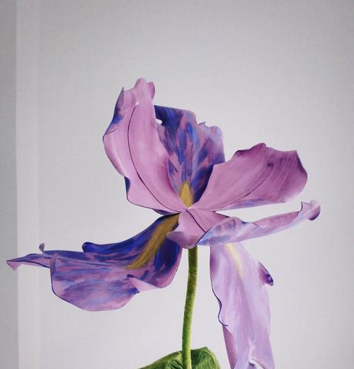 蝴蝶花开花后的处理方法（如何让蝴蝶花绽放更美丽）