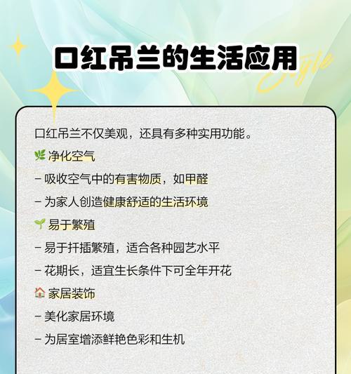 口红吊兰不开花的原因及解决办法（探究口红吊兰不开花的因素，提供相应的解决方案）