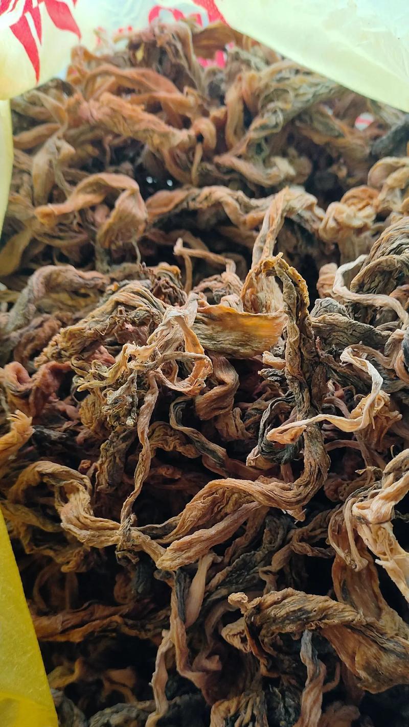 探秘田菜的别名及其特点（从“野菜”到“山珍海味”，这些你必须知道）
