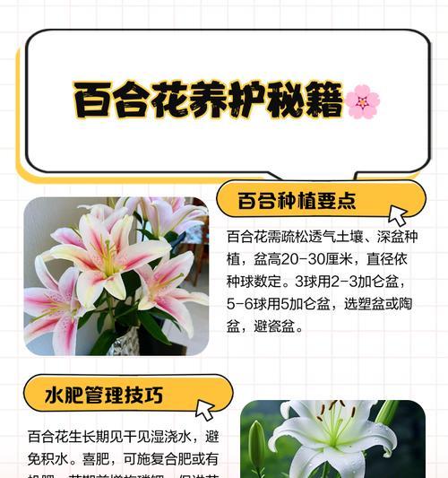百合花有毒吗？——室内养护小贴士（了解百合花毒性，做好养护措施，让它安全生长）