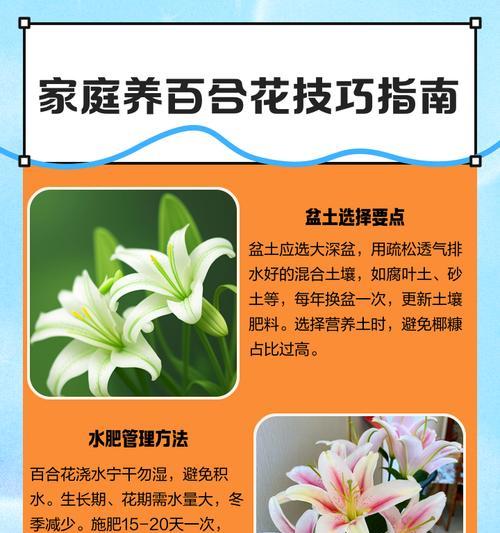 百合花有毒吗？——室内养护小贴士（了解百合花毒性，做好养护措施，让它安全生长）