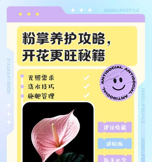 粉掌分株方法详解（一株变多株株茁壮）