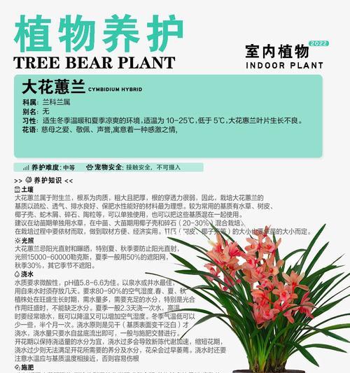 兰花换盆后的浇水技巧（如何正确浇水，让兰花茁壮成长）