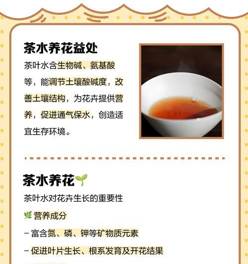 揭秘烟头水的浇花神奇效果（烟头水的制作方法和注意事项）