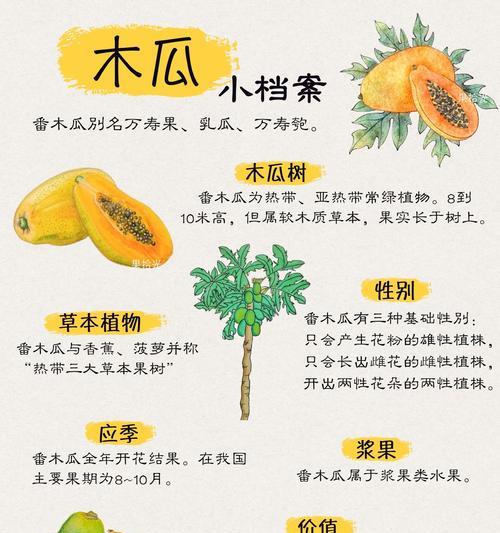 木爪树几年结果实的奥秘（揭秘木爪树如何迅速结果实）